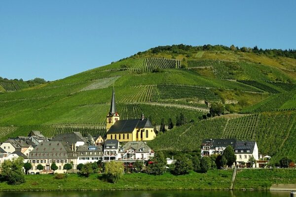 Fra global til lokal: Derfor skal du satse på geo optimering