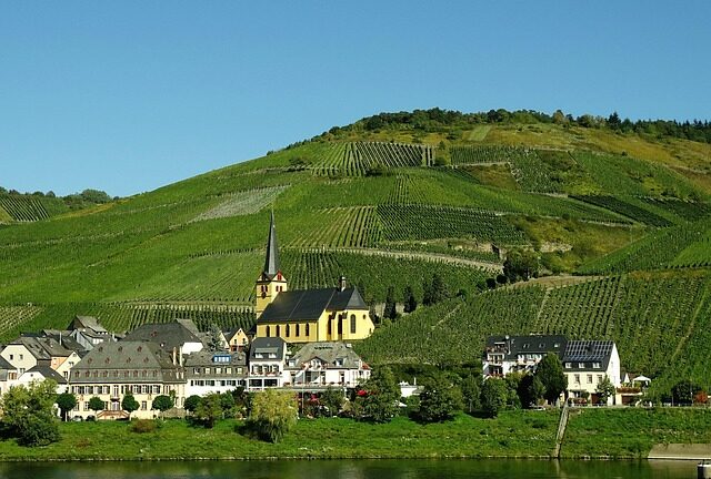 Fra global til lokal: Derfor skal du satse på geo optimering