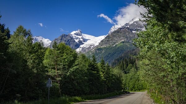 Historien om black friday: Fra amerikansk tradition til dansk fænomen